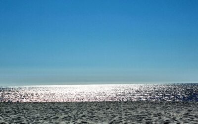 Jeder Strich ein Abenteuer – Wie Zeichnen uns forschen lässt